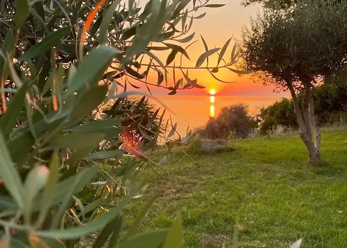 Sunset Spille Daire *