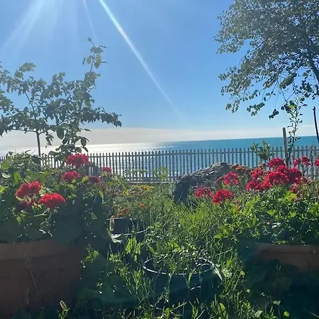 Sunset Spille * Rrogozhine